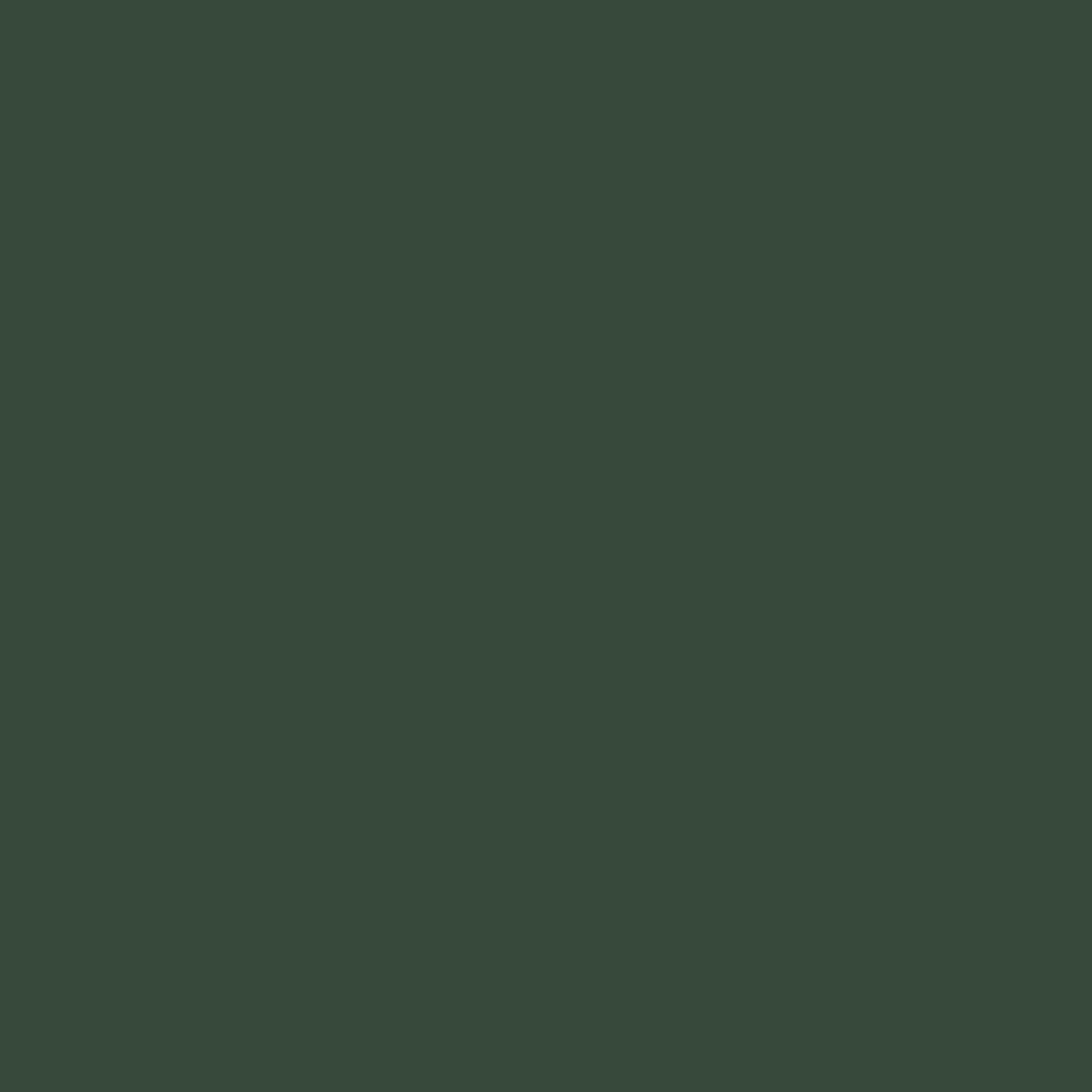 Highland Green Colour swatch