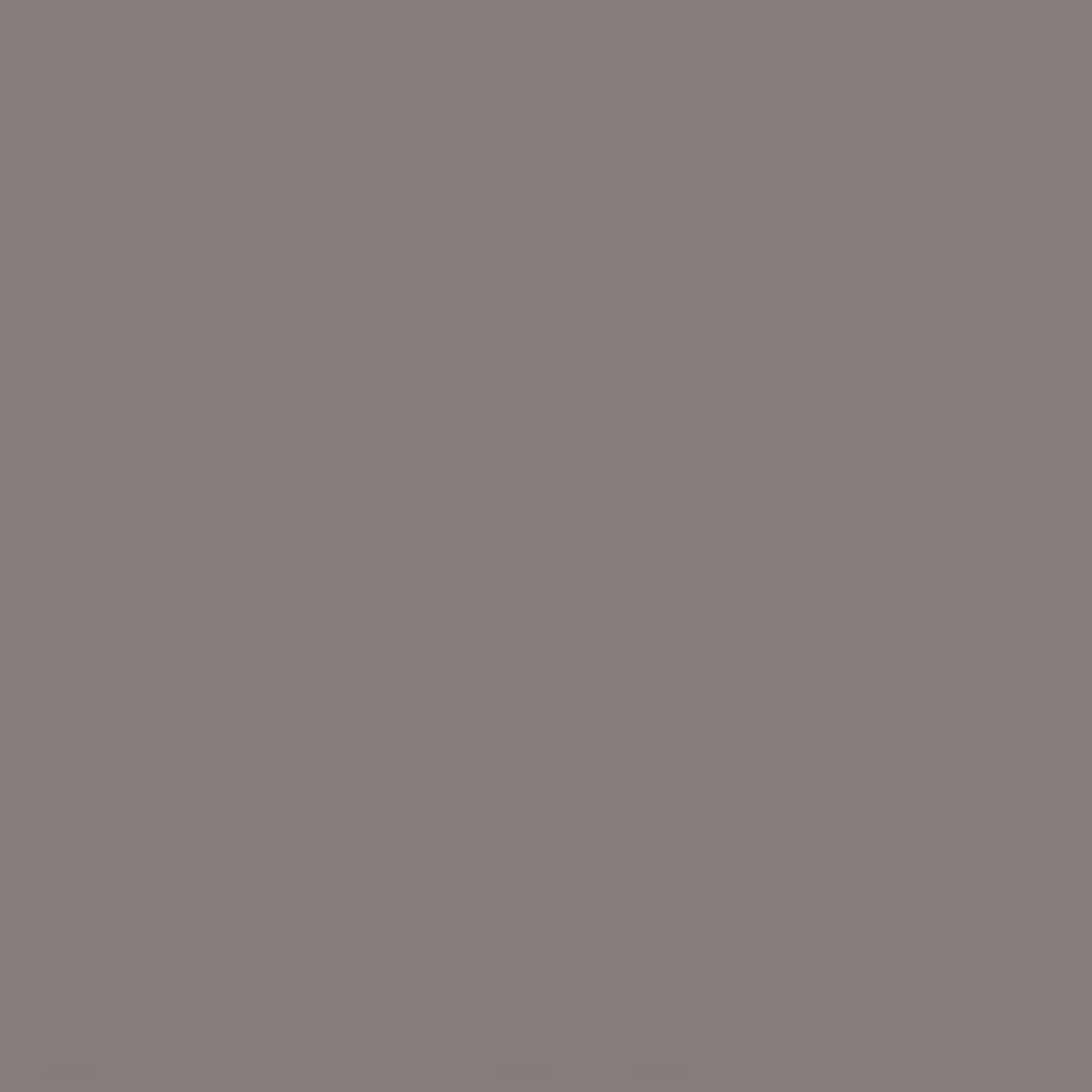 Dust Grey Colour swatch