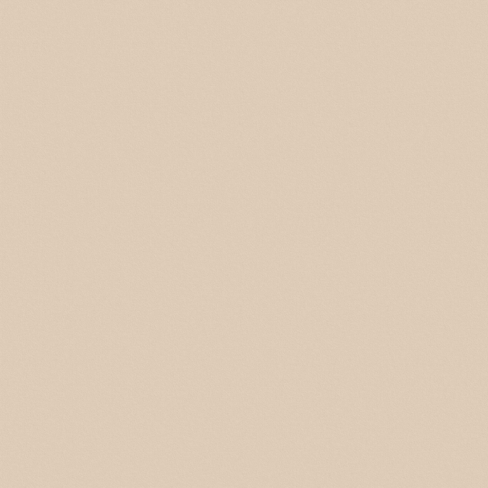 Sand Beige Colour swatch