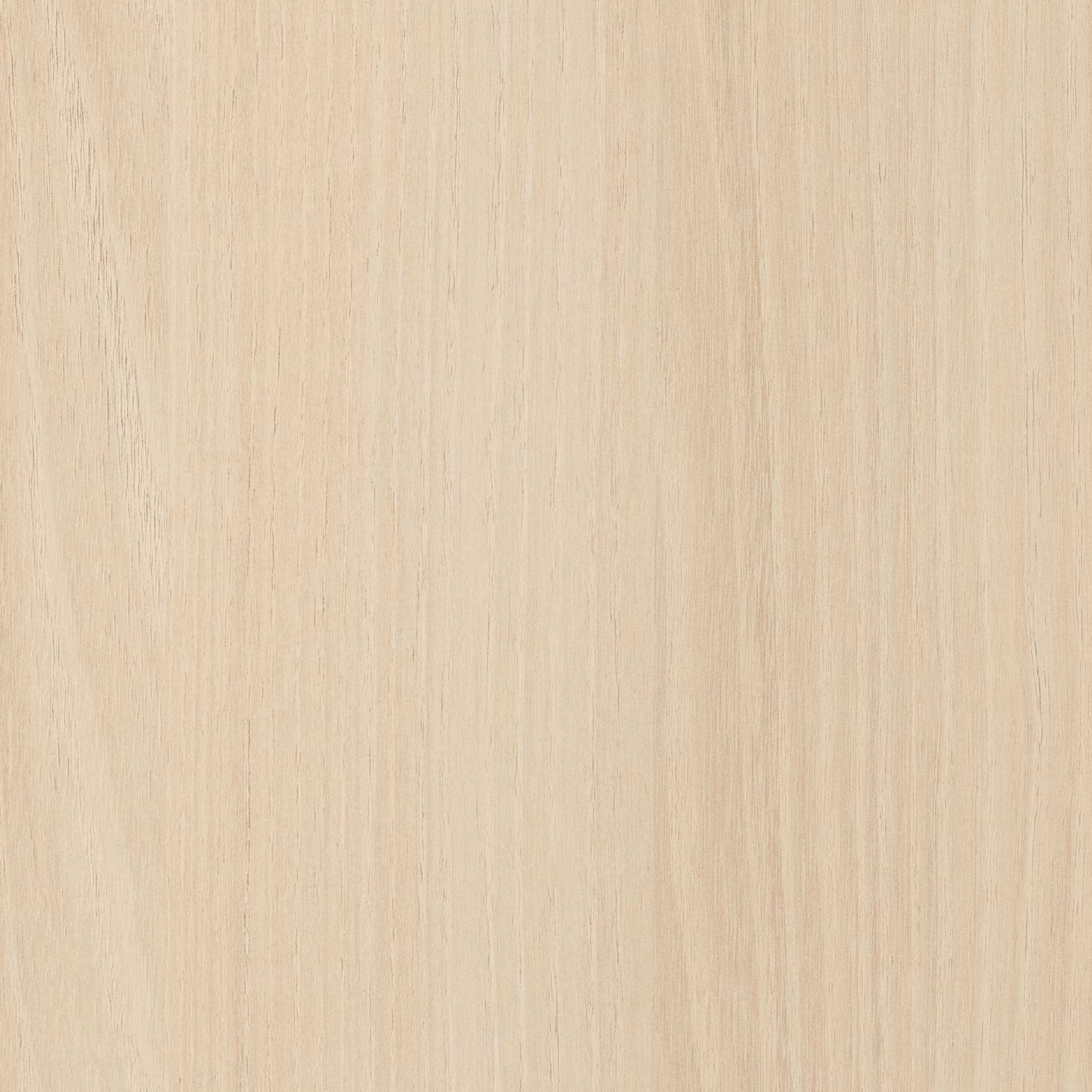 Moldau Acacia Colour swatch