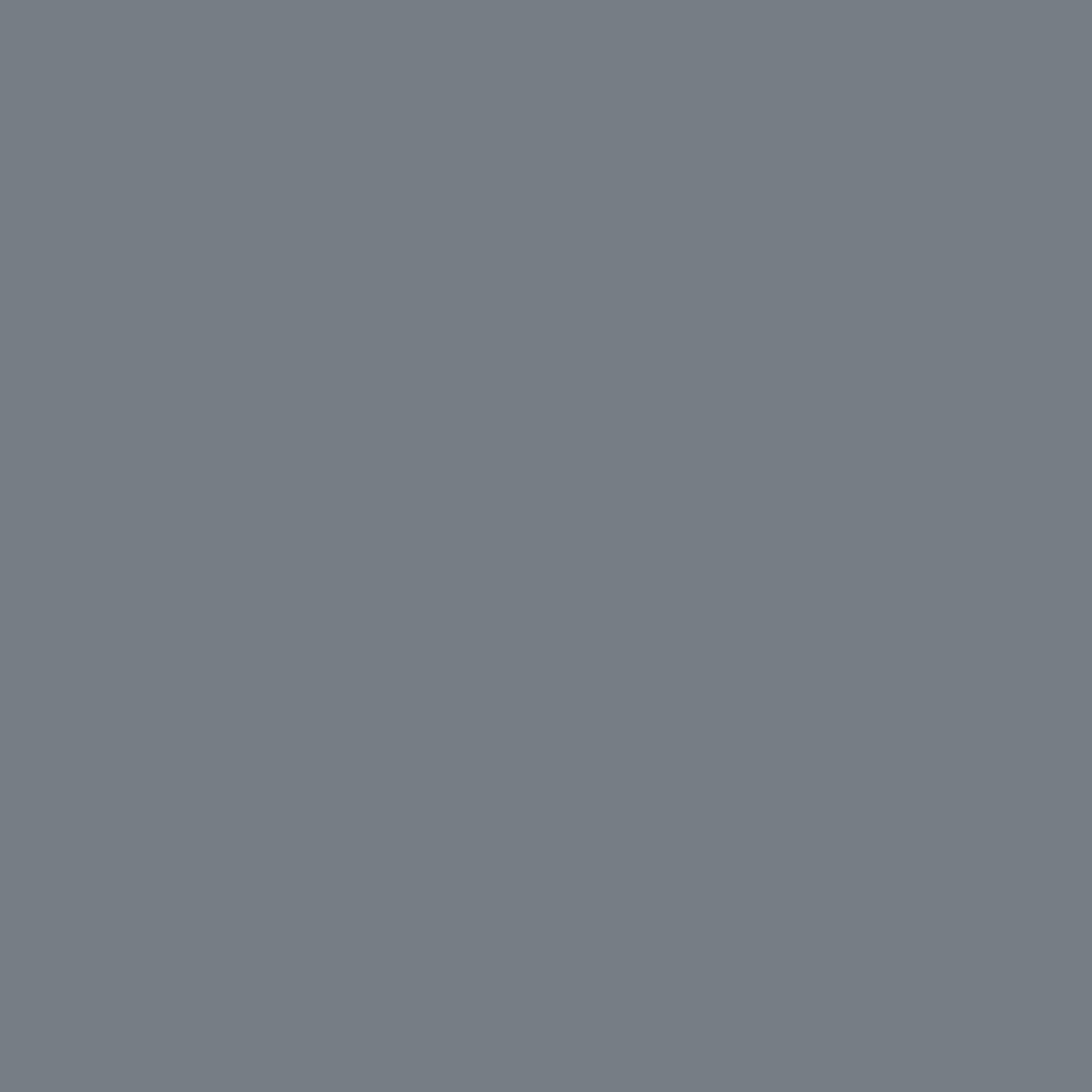 Monument Grey Colour swatch