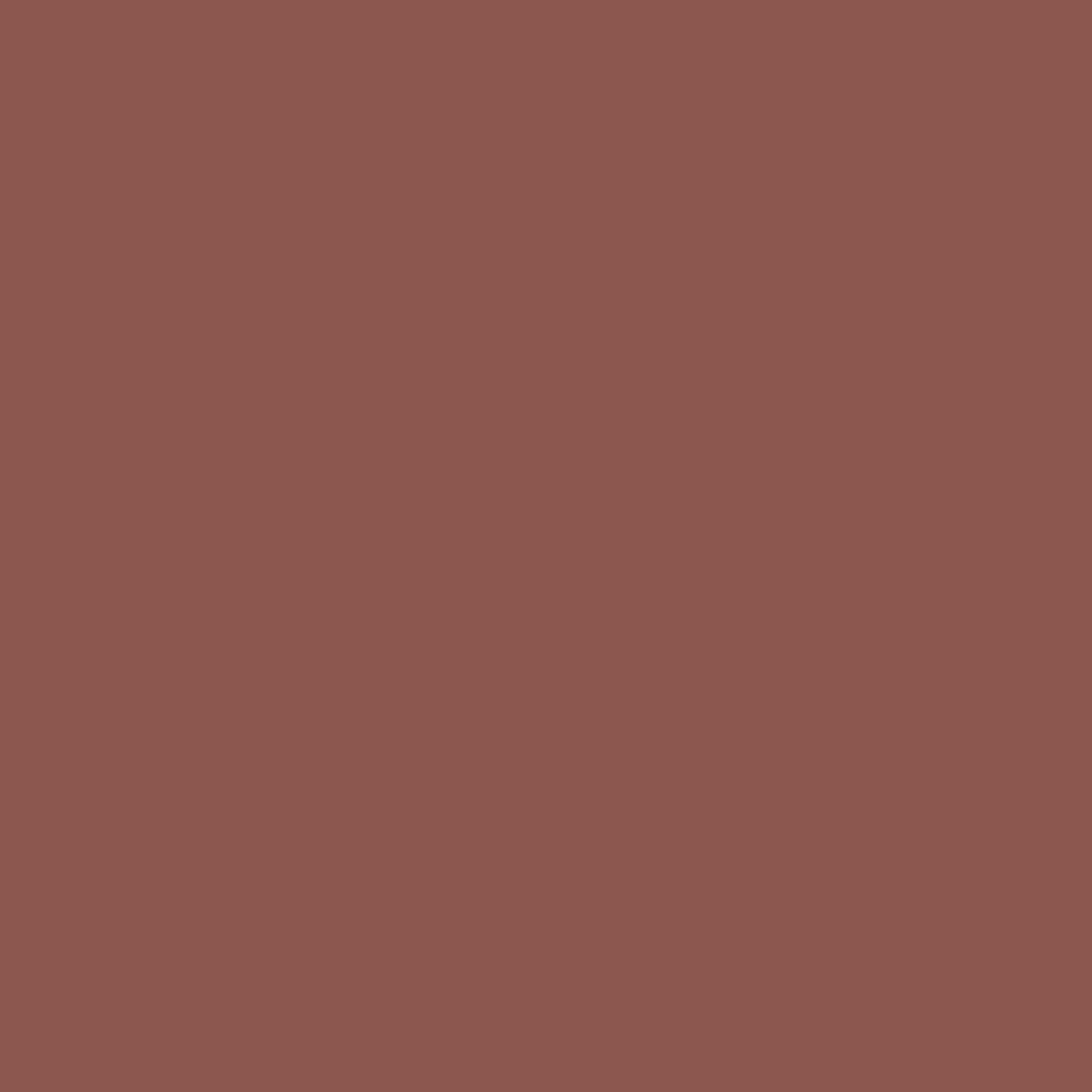 Rusty Red Colour swatch